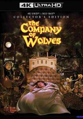 [4K蓝光原盘] 狼之一族 (1984) The Company of Wolves / 与狼为伴 / The.Company.of.Wolves.1984.2160p.BluRay.REMUX.HEVC.DTS-HD.MA.2.0