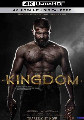 [4K电影] 王国 (2025) Kingdom / Kingdom.2025.2160p.NF.WEB-DL.DDP.5.1.DV.H.265