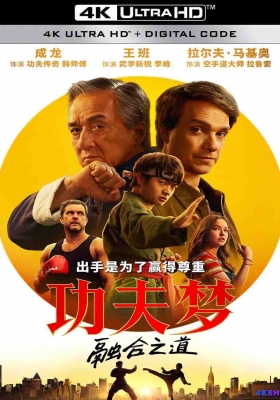 [4K蓝光Remux] 功夫梦：融合之道 (2025) Karate Kid: Legends / 功夫梦：传奇少年(港) / 小子难缠：空手道传奇(台) / 新龙威小子 / 龙威小子重启版 / 新龙威小子：传奇 / 功夫梦2 / Kung Fu Kid 2 / Karate.Kid.Legends.2025.2160p.iT.WEB-