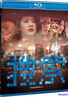 [蓝光原盘] 搜索 (2012) Caught in the Web / Caught.in.the.Web.2012.1080p.BluRay.AVC.TrueHD5.1