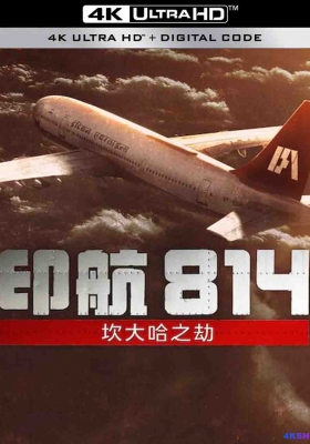 [4K电影] 印航814：坎大哈之劫 (2024) IC 814: The Kandahar Hijack / IC.814.The.Kandahar.Hijack.S01E01.Episode.1.2160p.NF.WEB-DL.DDP.5.1.Atmos.HDR10.H.265