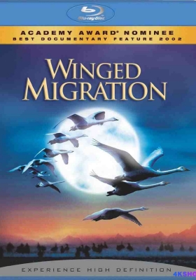 [蓝光原盘] 迁徙的鸟 (2001) Le peuple migrateur / 鸟的迁徙 / 鸟与梦飞行 / 鹏程千万里 / 迁徙的候鸟 / 我是一只季候鸟 / 天地人三部曲之迁徙的鸟 / The Travelling Birds / Winged Migration / Le.peuple.migrateur.2001.Bluray.1080p.AVC.DTS-HD....