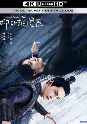 [4K剧集] 柳叶摘星辰 第一季 (2024) My Wifes Double Life / My.Wifes.Double.Life.S01.2024.2160p.WEB-DL.H265.DDP5.1