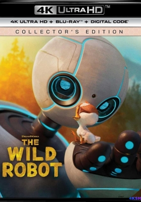 [4K蓝光动漫] 荒野机器人 (2024) The Wild Robot / 荒野机械人(港) / The.Wild.Robot.2024.2160p.UHD.Blu-ray.Remux.DV.HDR.HEVC.TrueHD.7.1.Atmos