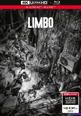 [4K蓝光原盘] 智齿 (2021) Limbo / Limbo.2021.2160p.UHD.Blu-ray.HEVC.DTS-HD.MA 5.1