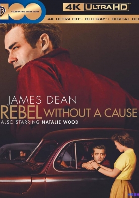 [4K蓝光原盘] 无因的反叛 (1955) Rebel Without a Cause / Rebel.Without.A.Cause.1955.2160p.BluRay.REMUX.HEVC.TrueHD.7.1.Atmos