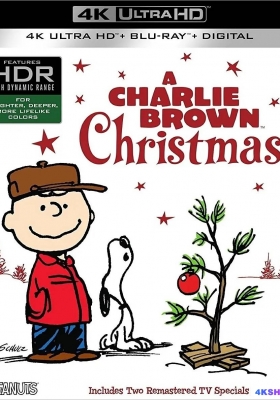 [4K蓝光原盘] 查理布朗的圣诞节  A Charlie Brown Christmas (1965) / 查理布朗與史努比過聖誕(台) / 花生精选之查理布朗的圣诞节 / A.Charlie.Brown.Christmas.1965.2160p.BluRay.REMUX.HEVC.DTS-HD.MA.5.1