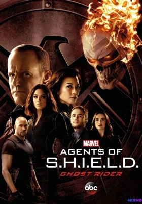 [蓝光剧集] 神盾局特工 第四季 (2016) Agents of S.H.I.E.L.D. Season 4 / 神盾局特工 第四季 / 神盾特工 / 神盾局 / Marvel's Agents of S.H.I.E.L.D. / Marvels.Agents.of.S.H.I.E.L.D.S04.1080p.BluRay.REMUX.AVC.DTS-HD.MA.5.1