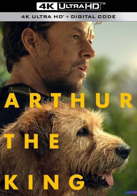 [4K蓝光原盘] 冠军亚瑟 (2024) Arthur the King / 极限长征(台) / 铁人狗狗(港) / Arthur.the.King.2024.2160p.UHD.Blu-ray.HEVC.TrueHD.7.1