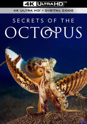 [4K纪录片] 章鱼的秘密 (2024) Secrets of the Octopus / 章鱼之谜 / Secrets.of.the.Octopus.S01.2024.2160p.DSNP.WEB-DL.DDP5.1.H265.DV