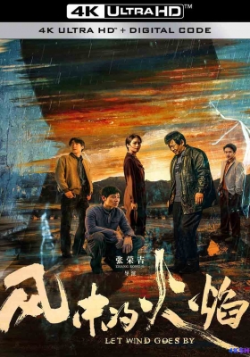 [4K剧集] 风中的火焰 第一季 (2024) Let Wind Goes By Season 1 / 天坑 / Let.Wind.Goes.By.S01.2024.2160p.WEB-DL.DDP5.1.H265