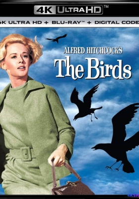 [4K蓝光原盘] 群鸟 (1963) The Birds / Alfred Hitchcock's The Birds / 鸟 / The.Birds.1963.2160p.BluRay.HEVC.DTS-HD.MA.2.0
