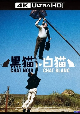 [4K蓝光原盘] 黑猫白猫 (1998) Црна мачка, бели мачор / 库斯图里卡的猫 / Black Cat, White Cat / Black.Cat.White.Cat.1998.SERBIAN.2160p.BluRay.REMUX.HEVC.DTS-HD.MA.5.1