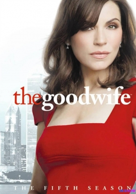 [1080P剧集] 傲骨贤妻 第五季 (2013) The Good Wife Season 5 / 傲骨贤妻 第五季 / “法”妻(港) / 法庭女王(台) / 律政巾帼 / 傲骨娇妻 / The.Good.Wife.S05.1080p.AMZN.WEBRip.DDP5.1.x264