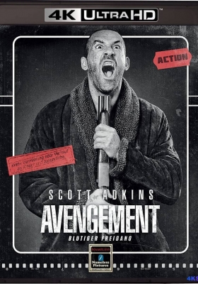 [4K蓝光原盘] 复仇者 (2019) Avengement / Avengement.2019.UNCUT.2160p.BluRay.HEVC.DTS-HD.MA.5.1
