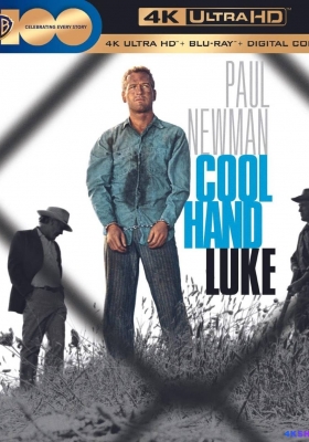 [4K蓝光原盘] 铁窗喋血 (1967) Cool Hand Luke / 逃狱金刚 / 冷手卢克 / Cool.Hand.Luke.1967.2160p.BluRay.REMUX.HEVC.DTS-HD.MA.2.0