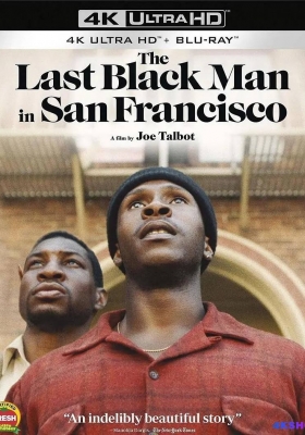 [4K蓝光原盘] 旧金山的最后一个黑人 (2019)  The Last Black Man in San Francisco / 何处是吾家(港) / The.Last.Black.Man.in.San.Francisco.2019.2160p.BluRay.HEVC.DTS-HD.MA.5.1