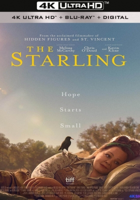 [4K电影]八哥 / The.Starling.2021.2160p.NF.WEBRip.x265.10bit.SDR.DDP5.1.Atmos