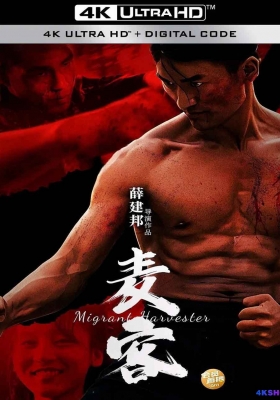 [4K电影] 麦客 (2024) Wheat Guest / Wheat.Guest.2024.2160p.WEB-DL.H265.DDP2.0