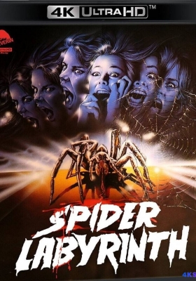 [4K蓝光原盘] 蜘蛛迷宫 (1988) Il nido del ragno / The Spider Labyrinth / The.Spider.Labyrinth.1988.2160p.USA.UHD.Blu-ray.HEVC.DTS-HD.MA.2.0
