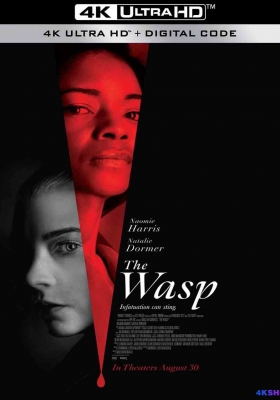 [4K电影] 黄蜂蜇 (2024) The Wasp / 黄蜂 / The.Wasp.2024.HDR.2160p.WEB.h265