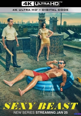 [4K剧集][完结] 性感野兽 第一季 (2024)  Sexy Beast Season 1 / Sexy.Beast.S01E01.More.1080p.AMZN.WEB-DL.DDP5.1.H.264