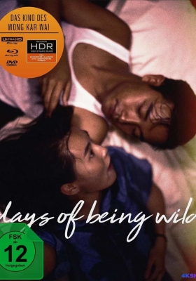 [4K蓝光原盘] 阿飞正传 (1990) 阿飛正傳 / Days of Being Wild 1990 GER UHD Blu-ray 2160p HEVC DTS-HD MA 5.1
