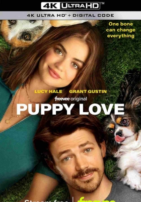 [4K电影] 小狗之爱 (2023) Puppy Love / 初恋 / 爱情两狗牵 / Puppy.Love.2023.2160p.AMZN.WEB-DL.DDP5.1.H265.HDR.DV