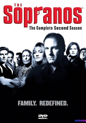 [蓝光剧集] 黑道家族 第二季 (2000) The Sopranos Season 2 / 黑道家族 第二季 / 人在江湖(港) / The.Sopranos.S02.1080p.BluRay.REMUX.AVC.DTS-HD.MA.5.1