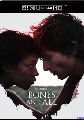 [4K蓝光原盘] 骨及所有 (2022) Bones and All / 骨及所有 / 骨肉的总和(港/台) / 骨头与一切 / 骨肉筋血 / 骸骨及一切 / Bones & All / Bones.And.All.2022.2160p.WEB-DL.x265.10bit.HDR10Plus.DDP5.1