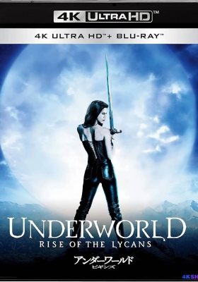 [4K蓝光原盘] 黑夜传说3：狼族崛起 (2009) Underworld: Rise of the Lycans / 妖夜寻狼前传之狼神诞生(港) / 决战异世界前传：鬼哭狼嚎(台)  / 黑夜传说前传：狼族再起 / Underworld.Rise.of.the.Lycans.2009.2160p.BluRay.HEVC.TrueHD.7.1.Atmos