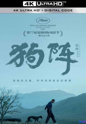 [4K电影] 狗阵 (2024) Black Dog / 狗镇 / 斗狗 / Black.Dog.2024.2160p.WEB-DL.DDP5.1.H265.DV