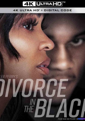 [4K电影] 离婚怨曲 (2024) Divorce In The Black / Tyler.Perrys.Divorce.in.the.Black.2024.HDR.2160p.WEB.H265