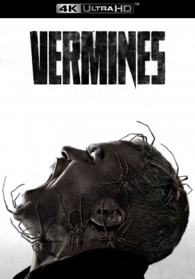 [4K蓝光原盘] 害虫 (2023) Vermin / 魔蛛巢城(港) / 蛛杀 / Infested / Vermines / Vermines.AKA.Infested.2023.2160p.UHD.BluRay.REMUX.DV.HEVC.DTS-HD.MA.5.1