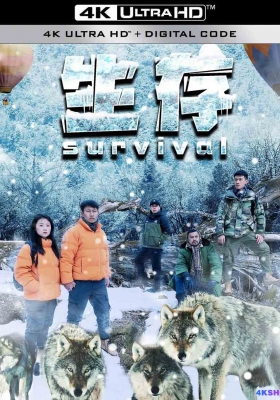 [4K电影] 生存 (2024) Survival / Survival.2024.2160p.WEB-DL.DDP2.0.H265.60fps
