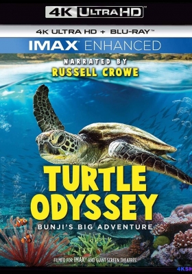 [4K蓝光原盘] [纪录片] 海龟大冒险 (2018) Turtle Odyssey / 龟女士的奥德赛 / Turtle.Odyssey.2019.DOCU.2160p.BluRay.REMUX.HEVC.DTS-X.7.1