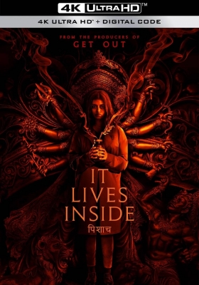 [4K电影] 深居在内 (2023) It Lives Inside / 印咒：毕舍遮(台) / It.Lives.Inside.2023.2160p.WEB.H265