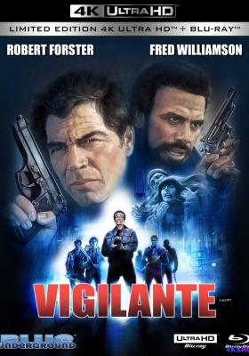 [4K蓝光原盘] 街头黑帮 (1982) Vigilante / Street Gang / Vigilante.1982.2160p.BluRay.REMUX.HEVC.DTS-HD.MA.TrueHD.7.1.Atmos