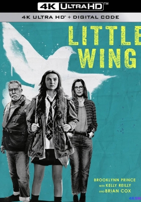 [4K电影] 小翅膀 (2024) Little Wing / Little.Wing.2024.HDR.2160p.WEB.H265
