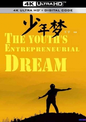 [4K电影] 少年梦 (2016) Dream of Youth / The Youths Entrepreneurial Dream / Dream.of.Youth.2016.2160p.WEB-DL.H265.EDR.AAC