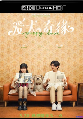 [4K电影] 爱犬奇缘 (2023) Puppy Love / Puppy.Love.2023.2160p.HQ.WEB-DL.H265.DDP2.0