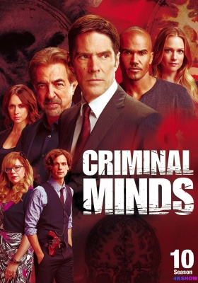 [1080P剧集] 犯罪心理 第十季 (2014) Criminal Minds Season 10 / 犯罪心理 第十季 / 罪犯解码 / Criminal.Minds.S10.1080p.AMZN.WEBRip.DD5.1.x264