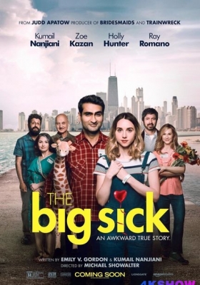 [4K电影] 大病 (2017) The Big Sick / 情人眼里巴基斯(港) / 爱情昏迷中(台) / The.Big.Sick.2017.HDR.2160p.WEB.h265