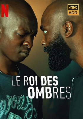 [4K电影] 暗影王者 (2023) In His Shadow / Le Roi des Ombres / In.His.Shadow.2023.FRENCH.2160p.NF.WEB-DL.x265.10bit.HDR.DDP5.1.Atmos