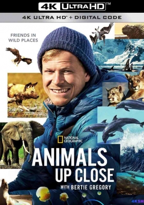 [4K纪录片] 贝尔蒂·格雷戈里：与动物零距离 (2023) Animals Up Close with Bertie Gregory / 摄影师伯蒂与动物零距离 / Animals.Up.Close.with.Bertie.Gregory.S01.Patagonia.Puma.2160p.DSNP.WEB-DL.DDP.5.1.HDR10.H.265