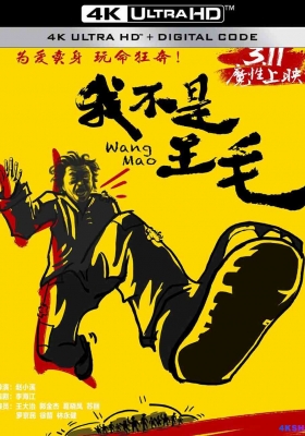 [4K电影] 我不是王毛 (2016) Wang Mao / Wang.Mao.2016.2160p.WEB-DL.H265.DV.AAC