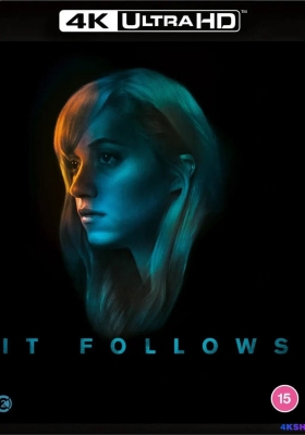 [4K蓝光原盘] 它在身后 (2014) It Follows / 鬼上你的床(港) / 灵病(台) / 神秘追随 / 形影不离 / It.Follows.2014.UHD.BluRay.2160p.TrueHD.Atmos.7.1.DV.HEVC.REMUX