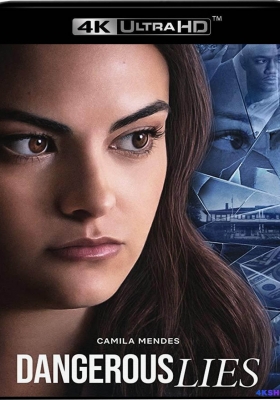 [4K电影] 危险的谎言 Dangerous Lies (2020) / Dangerous.Lies.2020.2160p.NF.WEB-DL.x265.10bit.HDR.DDP5.1.Atmos