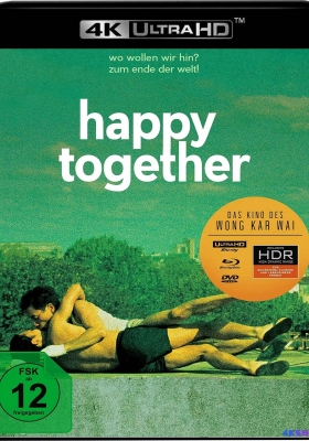[4K蓝光原盘] 春光乍泄 (1997) Happy Together / 春光乍洩 / 一起快乐 / Buenos Aires Affair / Happy.Together.1997.CHINESE.2160p.BluRay.REMUX.HEVC.DTS-HD.MA.5.1