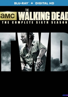 [蓝光原盘 剧集] 行尸走肉 第六季 (2015) The Walking Dead Season 6 / 行尸走肉 第六季 / 行尸(港) / 阴尸路(台) / The.Walking.Dead.S06.1080p.BluRay.REMUX.AVC.TrueHD.5.1